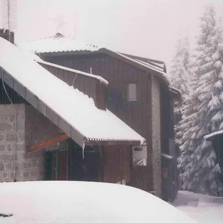 Apartment Nadja Kopaonik